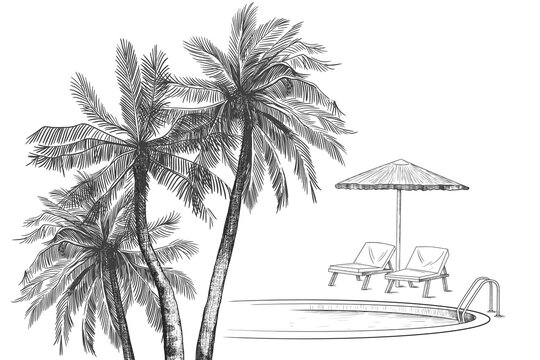 .Palm trees, swimming pool, beach umbrella  and two loungers. Vector vintage illustration of summer holiday.