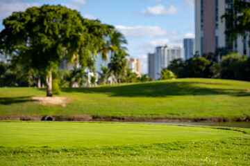Golf course landscape focus on foreground turf