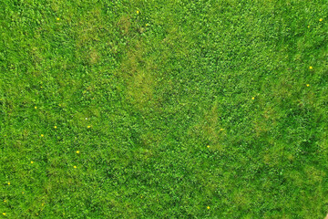 green grass top view, abstract nature field background