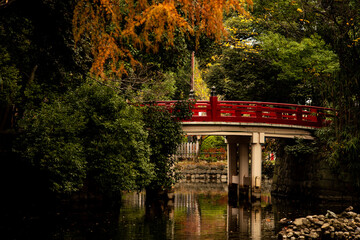 晩秋の神社の風景　12月