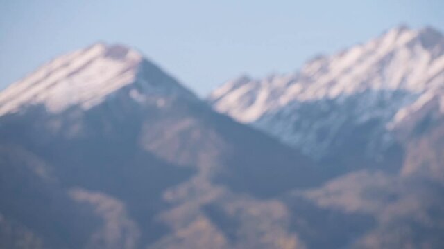 The woman travel on mixed terrain cycle touring with bikepacking. The traveler journey with bicycle bags. Sport tourism bikepacking, bike, sportswear in green black colors. Mountain snow capped.