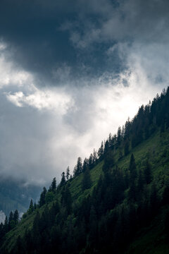 rainclouds create spectacular light on a steep slope of forest © schame87