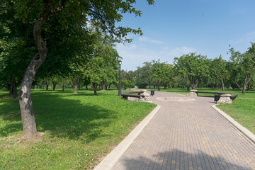 Walkway in the park in the summer