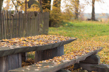 Outdoors autuumn fall activities, wooden bench covered with yellow and orange leaves, picnic rural spot