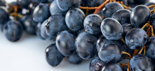 Grapes-clusters of ripe red grapes lie on a white background.Space for text