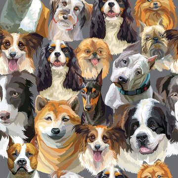 Vector semless pattern colorful realistic dogs heads