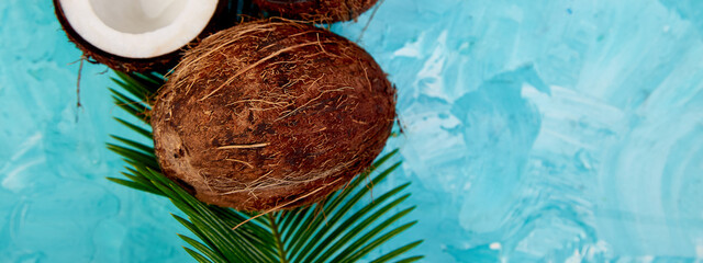 Banner of Fresh Coconut on blue background.