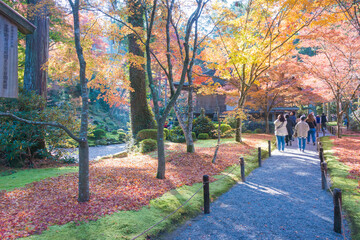Kyoto, Japan - Autumn leaf color at Sanzenin Temple in Ohara, Kyoto, Japan. Sanzenin Temple was founded in 804.