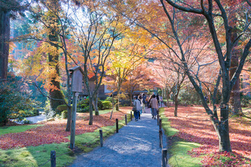 Plakat Kyoto, Japan - Autumn leaf color at Sanzenin Temple in Ohara, Kyoto, Japan. Sanzenin Temple was founded in 804.