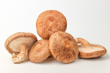 Shiitake mushrooms on a white background