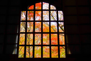 格子窓から観賞する紅葉