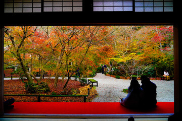 室内から観賞する庭園の紅葉
