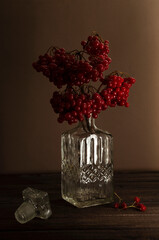 Vertical image.Glass decanter and viburnum branch in it.Dramatic dark light