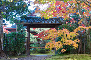 Kyoto, Japan - Autumn leaf color at Ikkyuji Temple (Shuon-an) in Kyotanabe, Kyoto, Japan.
