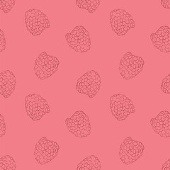 Vector line raspberry seamless pattern. Pink background berries
