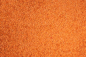 Red lentils background