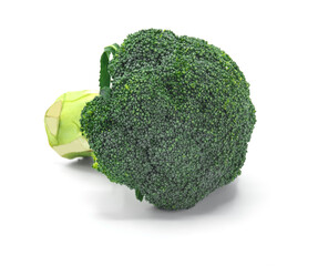 broccoli on a white background.