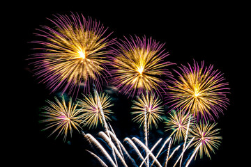 Abstract colorful firework display for celebration anniversary