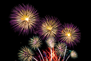 Fototapeta premium Abstract colorful firework display for celebration anniversary