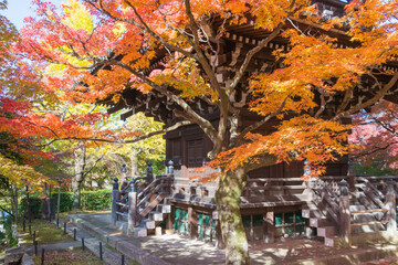 Plakat Kyoto, Japan - Autumn leaf color at Shinnyodo Temple in Kyoto, Japan. The Temple originally built in 984.