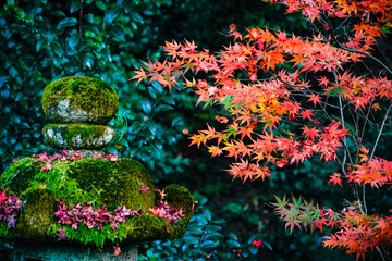 石灯ろうと紅葉