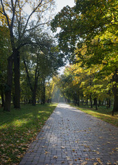 Walkway in the park in the summer
