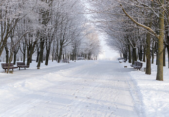 frozen snowy river banks scenery