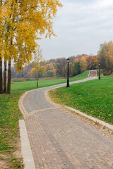 Walkway in the park in the summer