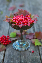 Fototapeta na wymiar Ripe viburnum berries on an old wooden table