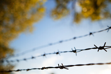 barbed wire in several rows against the sky