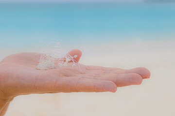 Hand hält seltene Muscheln mit tollem Karibikhintergrund als Spa Motiv