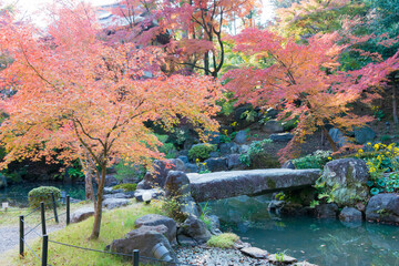 Kyoto, Japan - Autumn leaf color at Nagaoka Tenmangu Shrine in Nagaokakyo, Kyoto, Japan. The Shrine...
