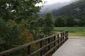 Path in the countryside