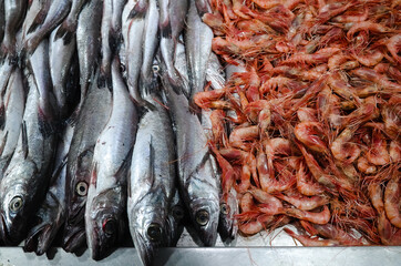 Jurel fish or Chilean jack mackerel  nearby pile of red shrimps close up. Fresh raw seafood from...