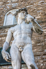 David von Michelangelo am Piazza della Signoria in Florenz, Italien