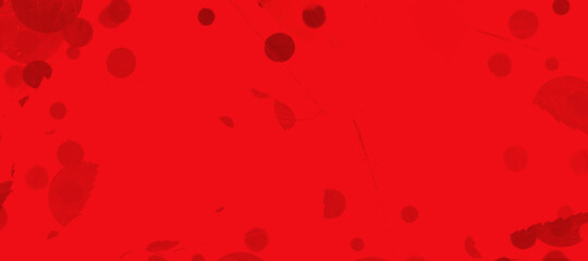 abstract colorful circles background bg texture wallpaper art leaves flora