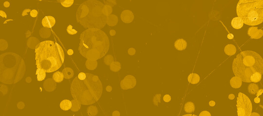 abstract colorful circles background bg texture wallpaper art leaves flora