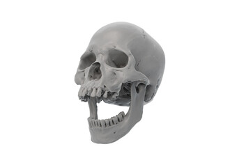 Human skull with an open lower jaw on a White isolated background. The concept of death, immortality, eternal life, horror. Acult symbol. Spooky Halloween symbol. 3D render