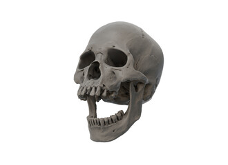 Obraz premium Human skull with an open lower jaw on a White isolated background. The concept of death, immortality, eternal life, horror. Acult symbol. Spooky Halloween symbol. 3D render