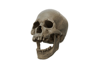 Obraz premium Human skull with an open lower jaw on a White isolated background. The concept of death, immortality, eternal life, horror. Acult symbol. Spooky Halloween symbol. 3D render
