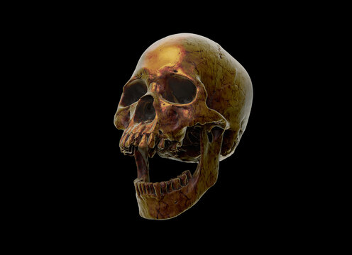 Human skull with an open lower jaw on a Black isolated background. The concept of death, immortality, eternal life, horror. Acult symbol. Spooky Halloween symbol. 3D render