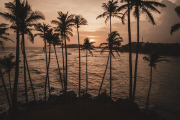 Palmy na tle zachodzącego słońca i oceanu z falami.