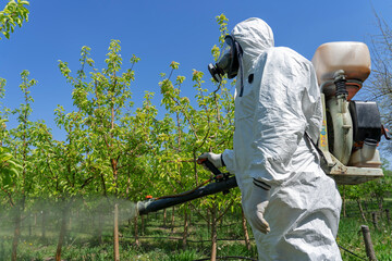 Fruit Grower in Personal Protective Equipment Spraying Fruit Orchard