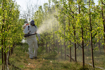 Fruit Grower Sprays Trees With Toxic Pesticides or Insecticides