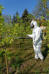 Man in Coveralls With Gas Mask Spraying Orchard in Springtime