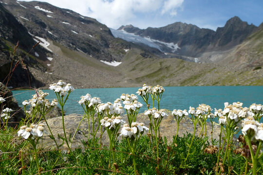 Blaue Lacke lake at Stubai high-altitude hiking trail, lap 5 in Tyrol, Austria © BirgitKorber