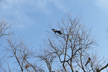 Late autumn scenery of Jinju Castle of Korea