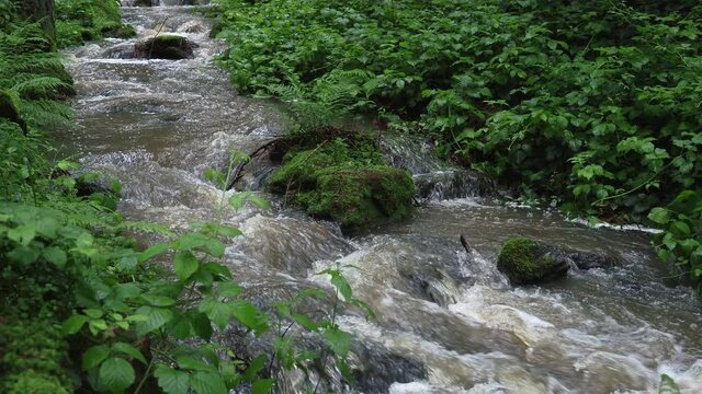 Wild river Doubrava in Czech Republic. Valley Doubrava near Chotebor.