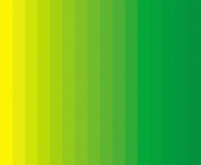 Obraz premium green striped background