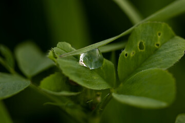 water drops 
